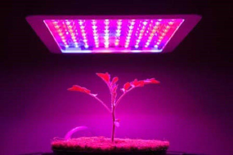 1000 LED Full Spectrum Indoor Grow Medicinal Veg & Flower Light