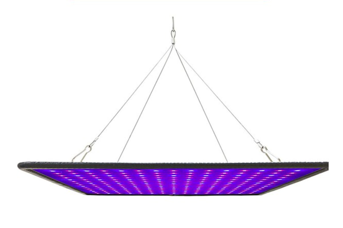 600w Plant Growing LED Light
