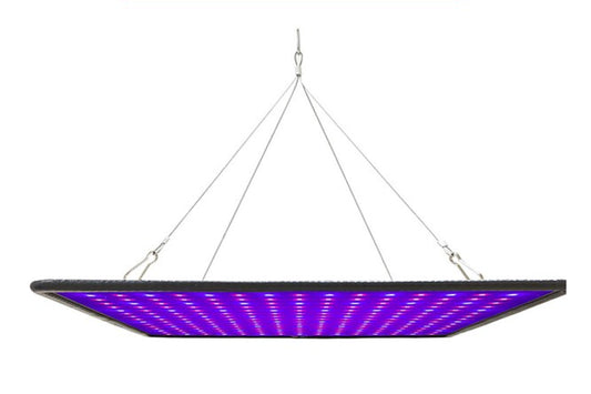 600w Plant Growing LED Light